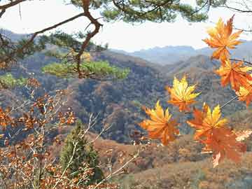 蜜桃传媒盘点：丑闻5大爆点，业内人士上榜理由异常令人评论区沸腾