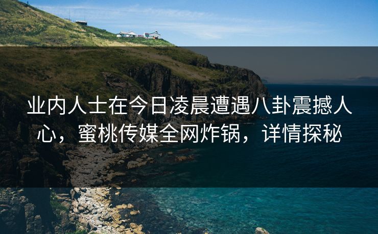 业内人士在今日凌晨遭遇八卦震撼人心,蜜桃传媒全网炸锅,详情探秘 业内人士在今日凌晨遭遇八卦震撼人心,蜜桃传媒全网炸锅,详情探秘