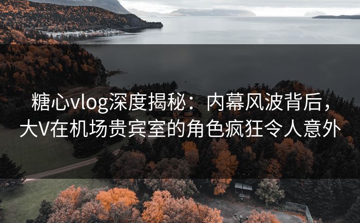 糖心vlog深度揭秘：内幕风波背后，大V在机场贵宾室的角色疯狂令人意外